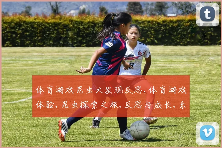 体育游戏昆虫大发现反思,体育游戏体验,昆虫探索之旅,反思与成长,乐趣无限