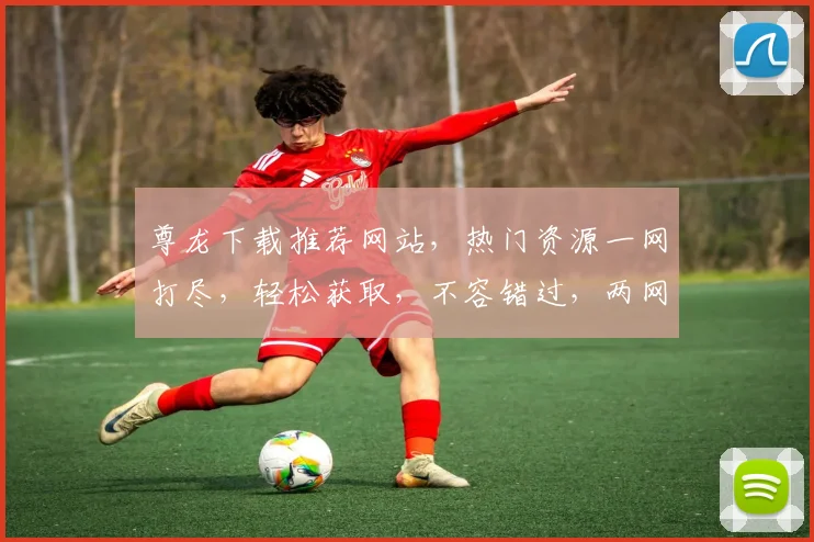 尊龙下载推荐网站，热门资源一网打尽，轻松获取，不容错过，两网之选